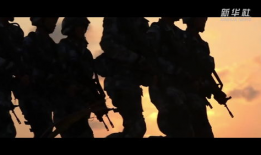 81视频,揭秘热门话题背后的真相与观点