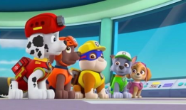 汪汪队视频,勇敢狗狗们的冒险之旅