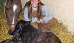 马交配视频,自然繁殖的奇妙瞬间